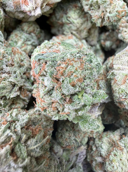 1 Pound - AAA Mango Tango THCA Strain Frisco Labs