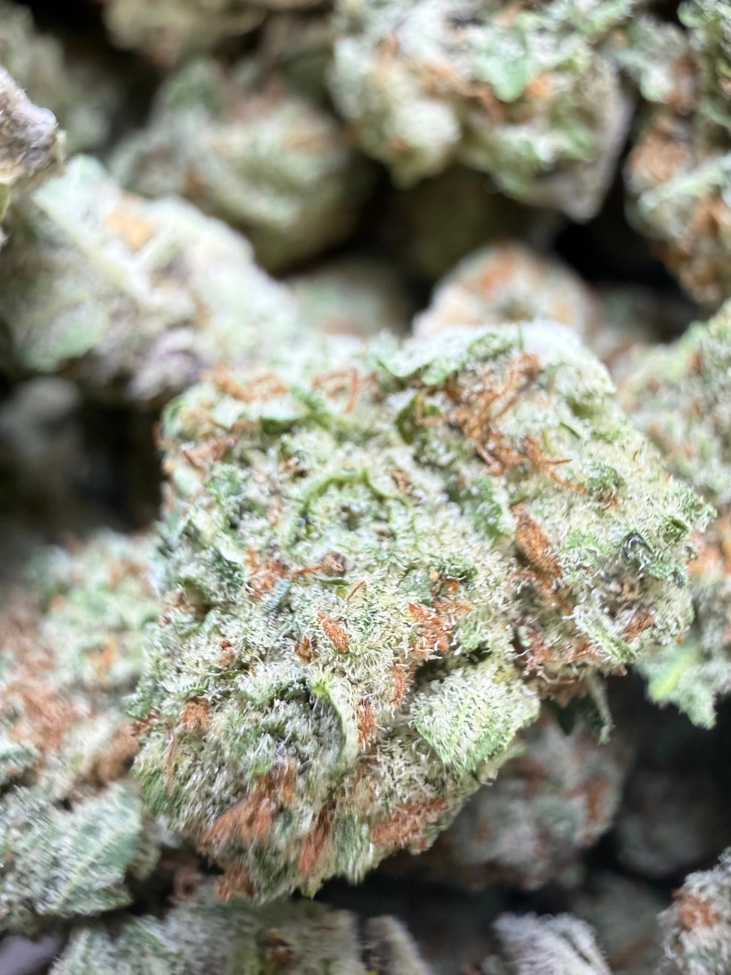 1 Pound - AAA Mango Tango THCA Strain Frisco Labs