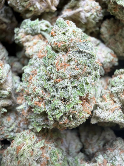 1 Pound - AAA Mango Tango THCA Strain Frisco Labs