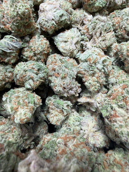 1 Pound - AAA Mango Tango THCA Strain Frisco Labs