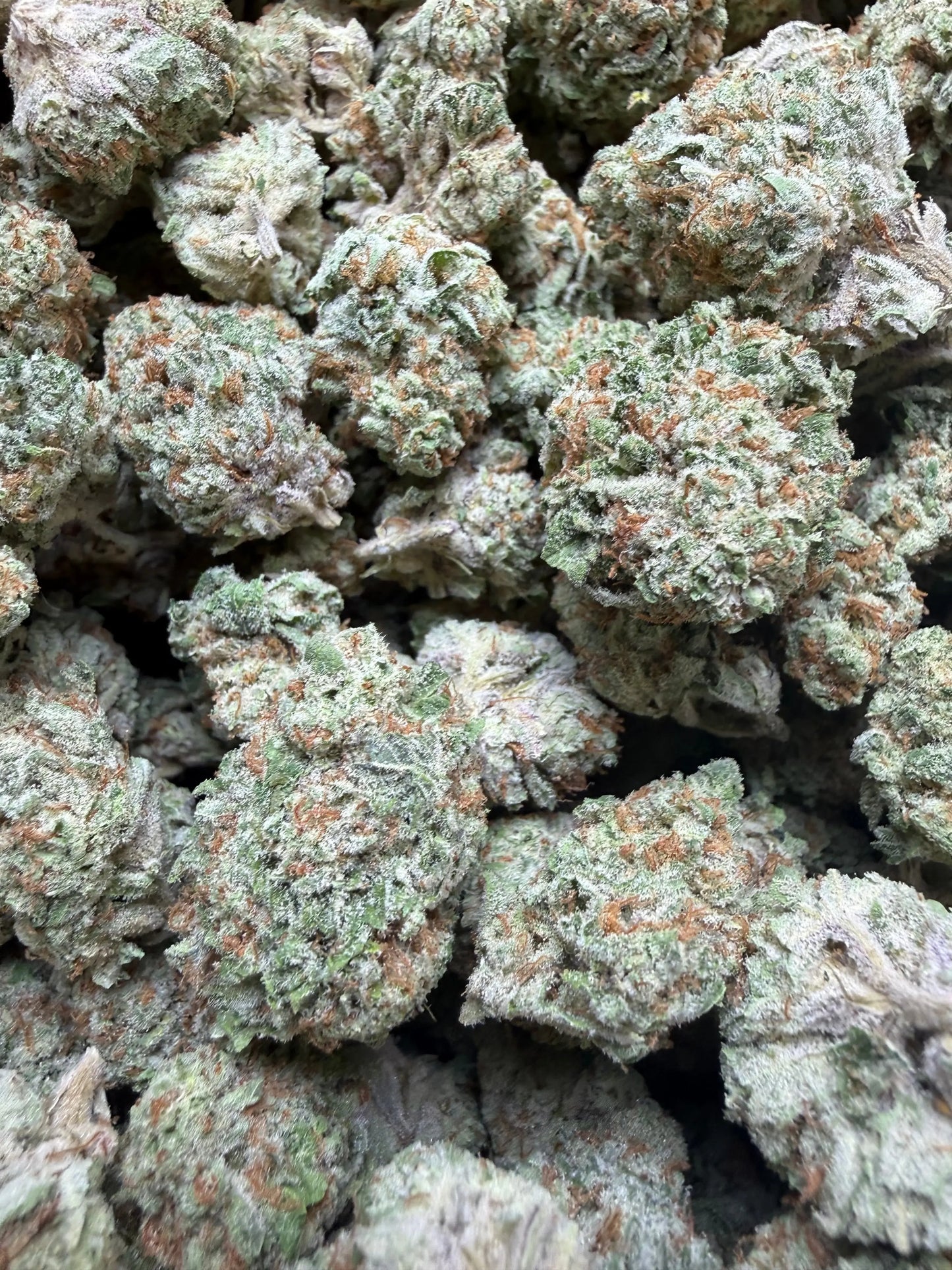 1 Pound - AAA Mango Tango THCA Strain Frisco Labs