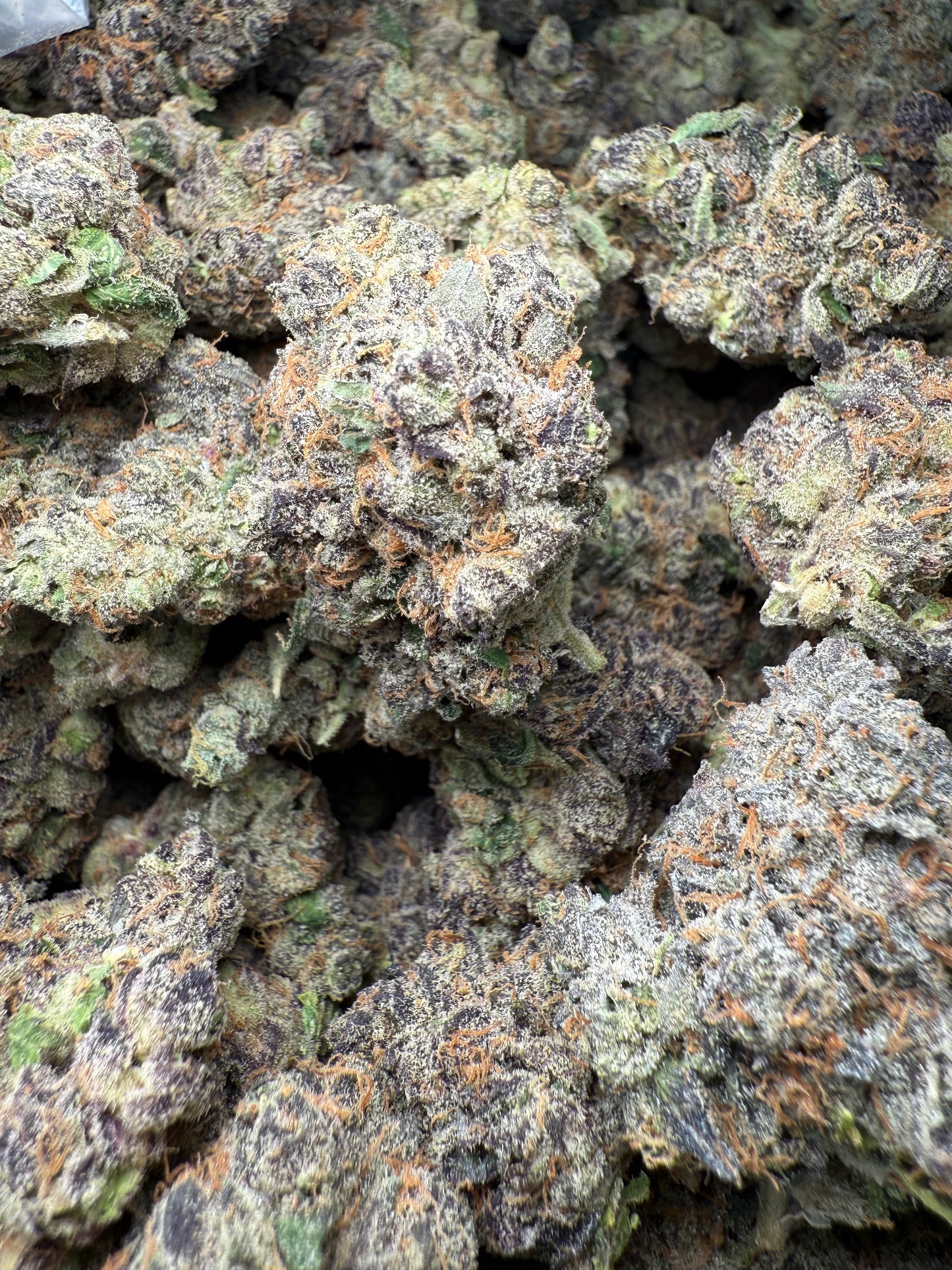 1 Pound AAA - Gary Payton Runtz THCA Strain Frisco Labs