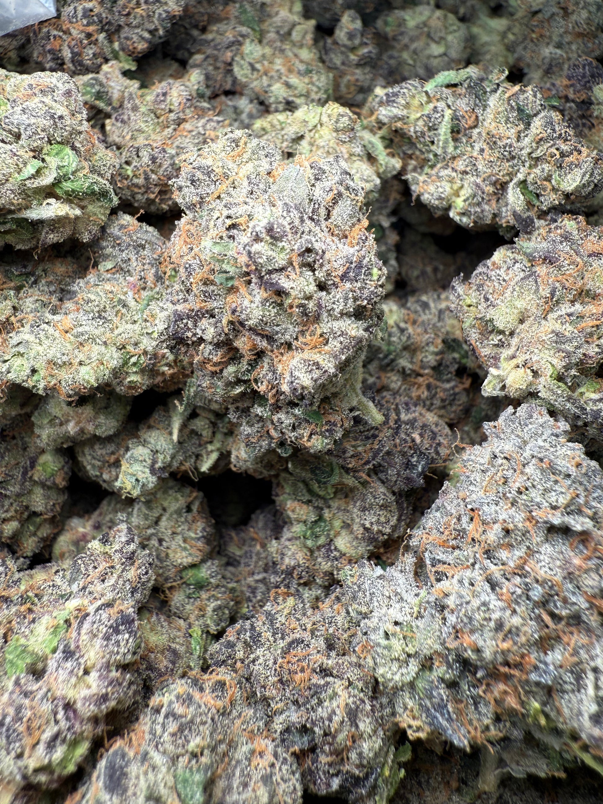 1 Pound AAA - Gary Payton Runtz THCA Strain Frisco Labs