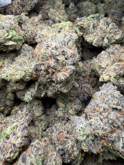 1 Pound AAA - Gary Payton Runtz THCA Strain Frisco Labs