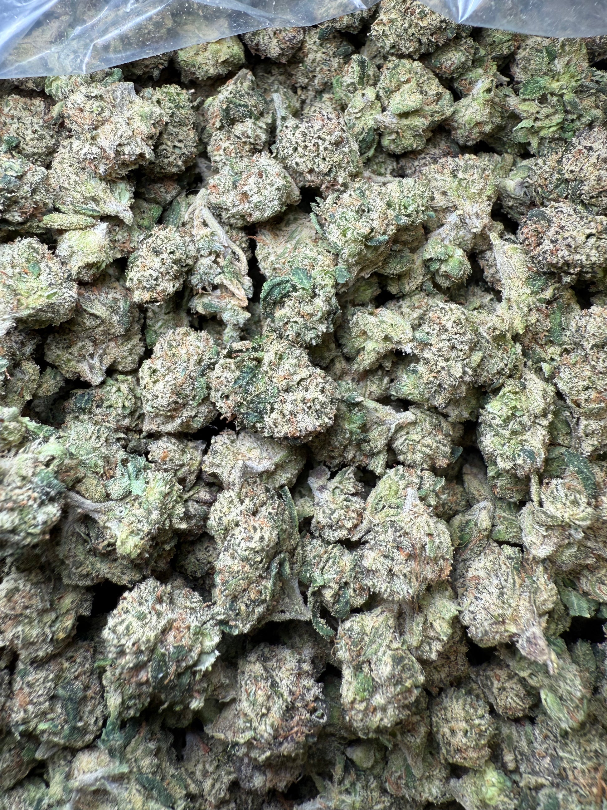 1 Pound - AAA Red 97 Small FL Fulfillment Center