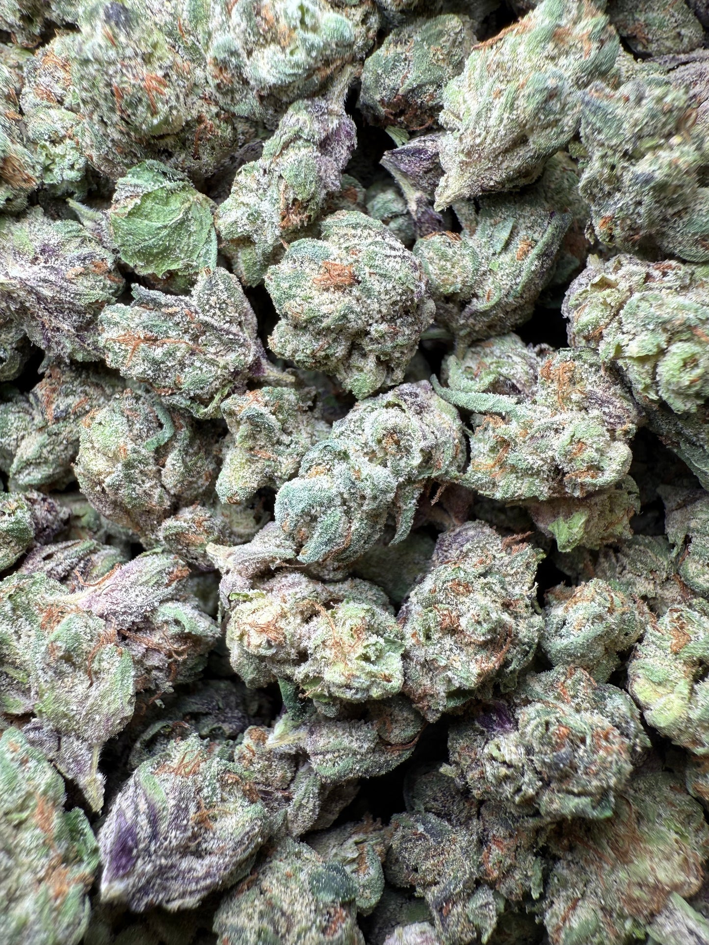 1 Pound - AAA Smarties Small - 