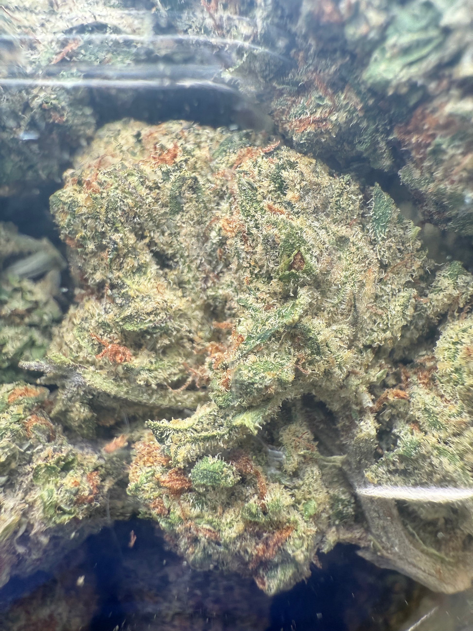 1 Pound - AAA Smurf THCA strain Frisco Labs