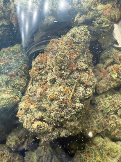 1 Pound - AAA Smurf THCA strain Frisco Labs