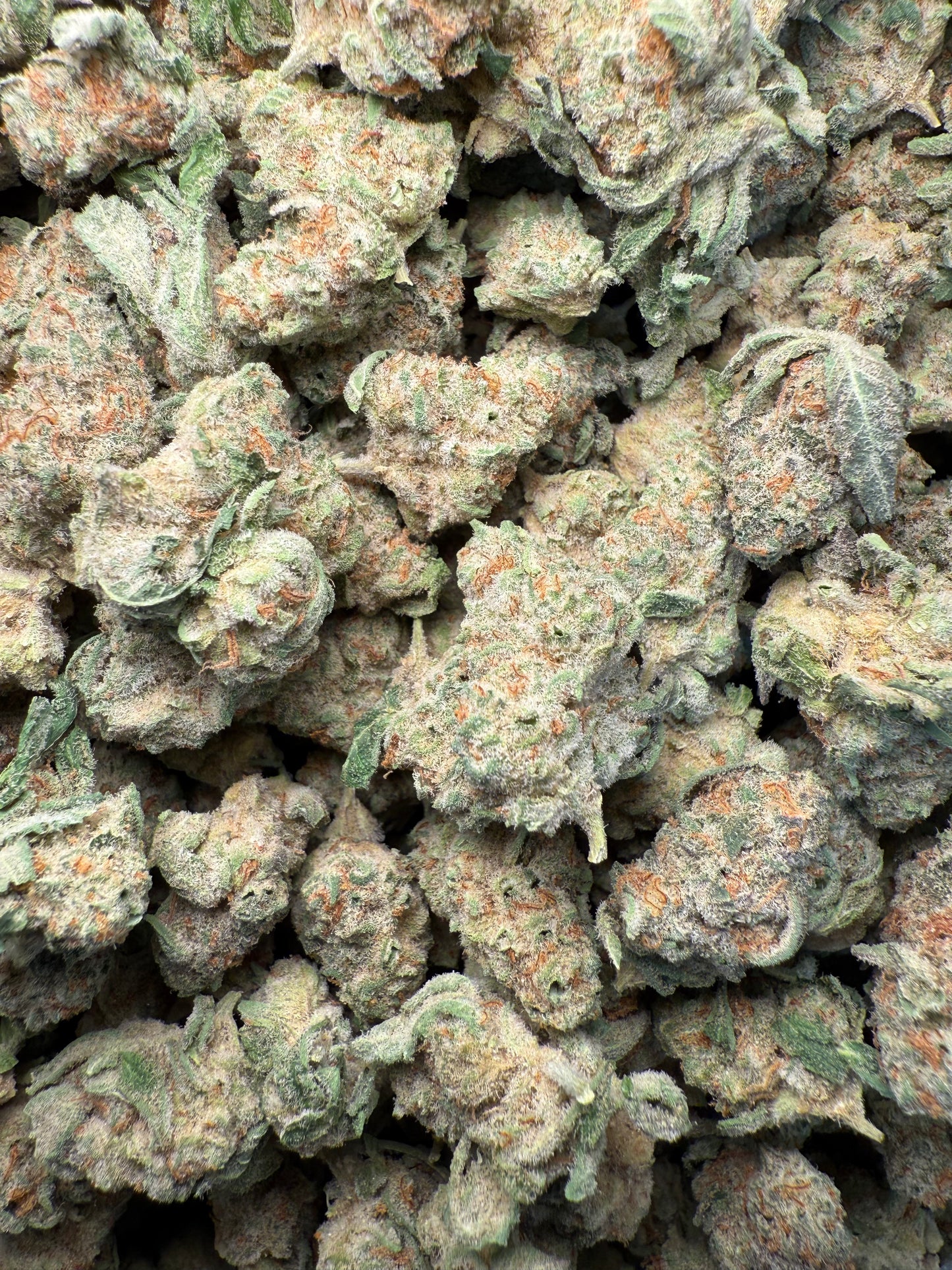 1 Pound - AAA Strawnana THCA Strain (Small) Frisco Labs