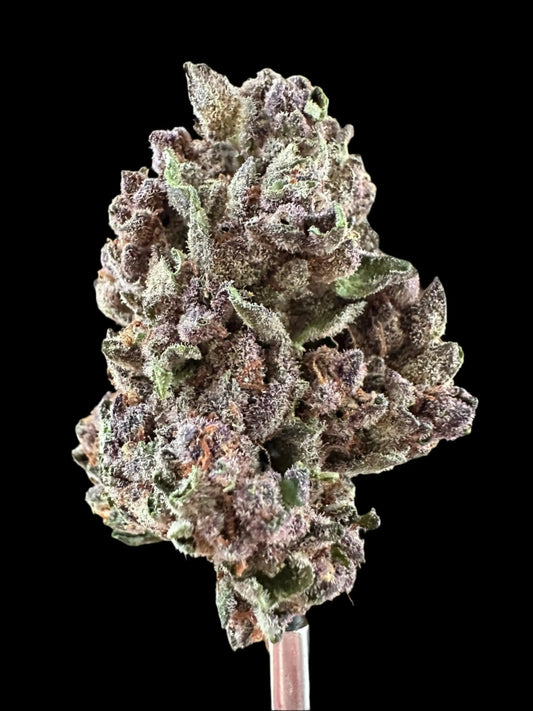 Frisco Labs - Exotic Indoor Tropicanna Cherry THCA 