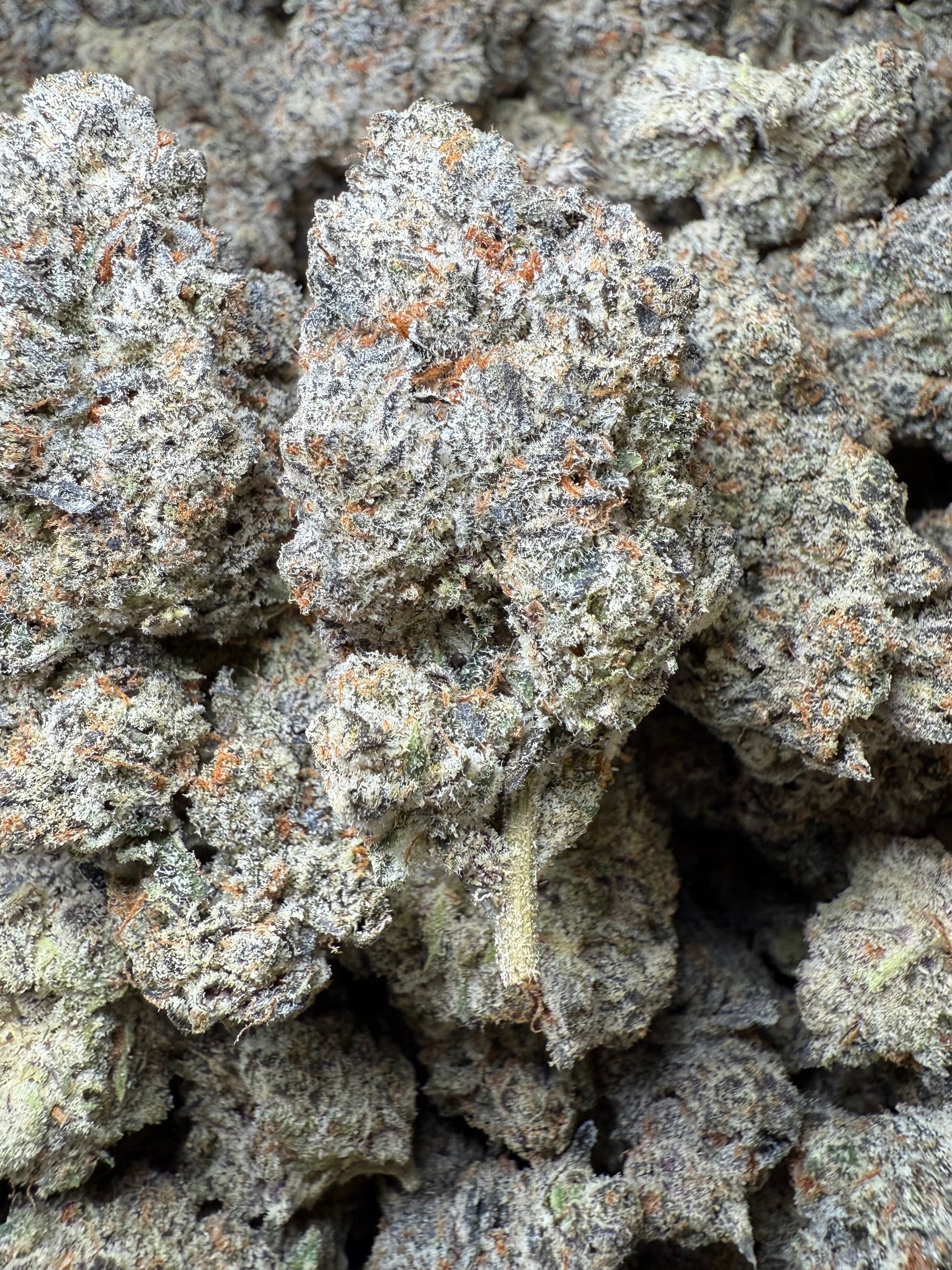 1 Pound AAAA - Lilac GMO THCA Strain Frisco Labs