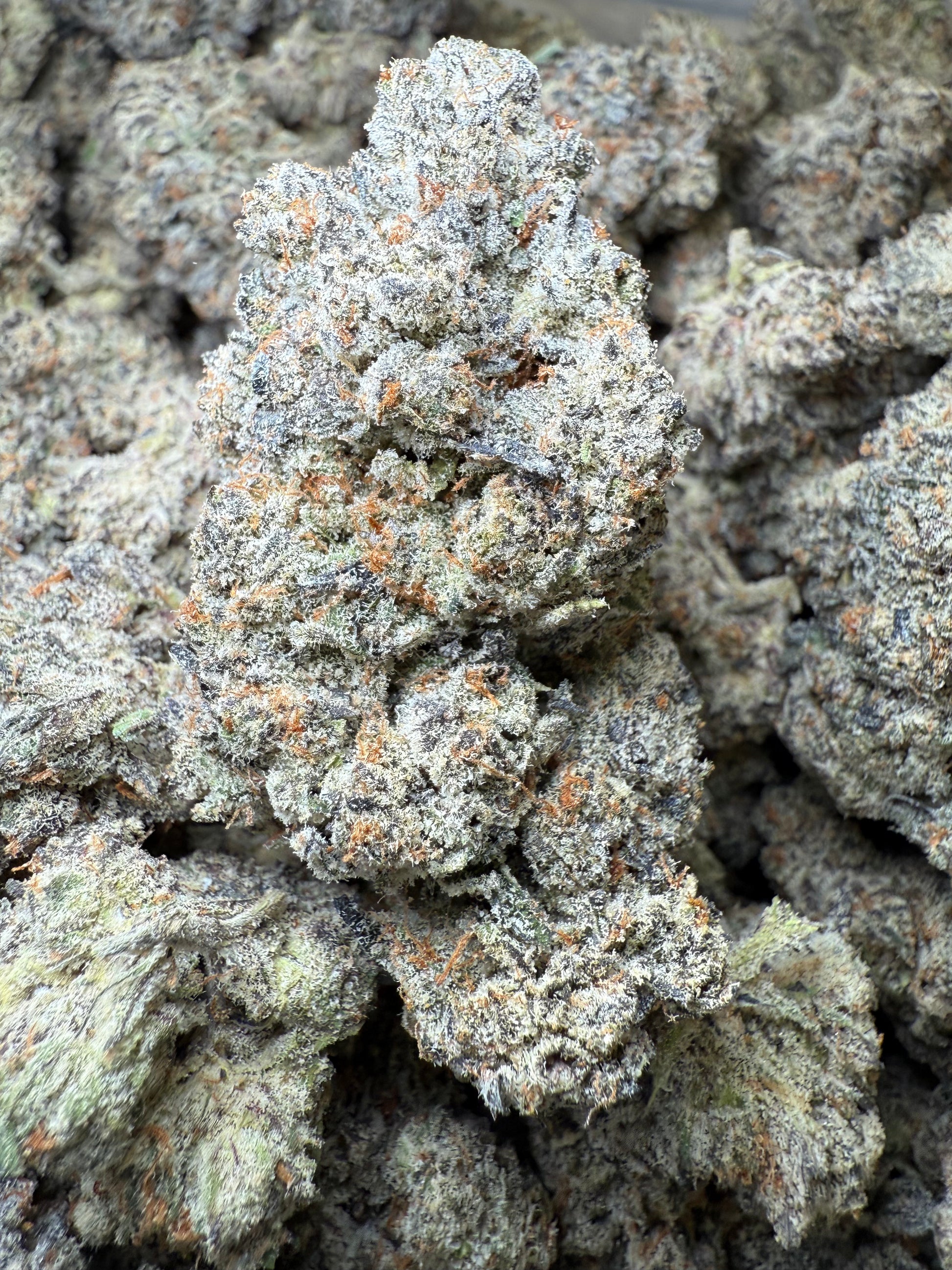 1 Pound AAAA - Lilac GMO THCA Strain Frisco Labs