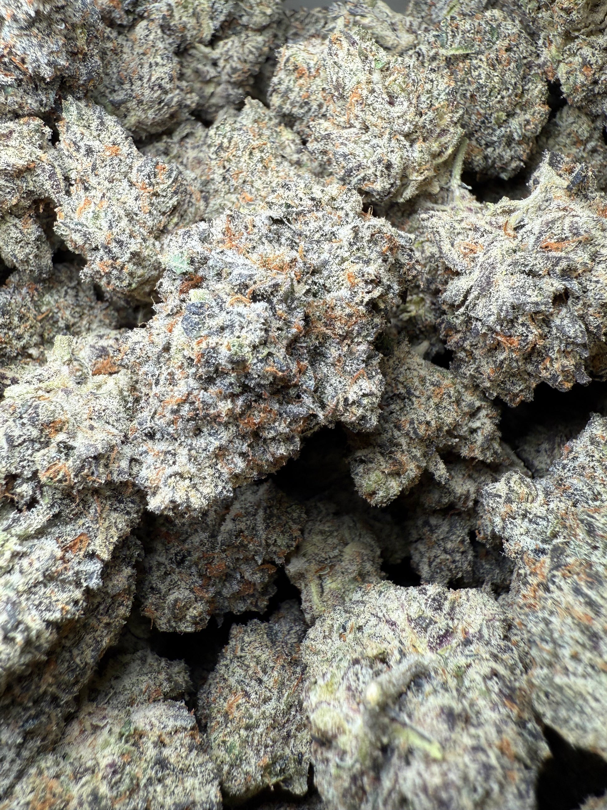 1 Pound AAAA - Lilac GMO THCA Strain Frisco Labs