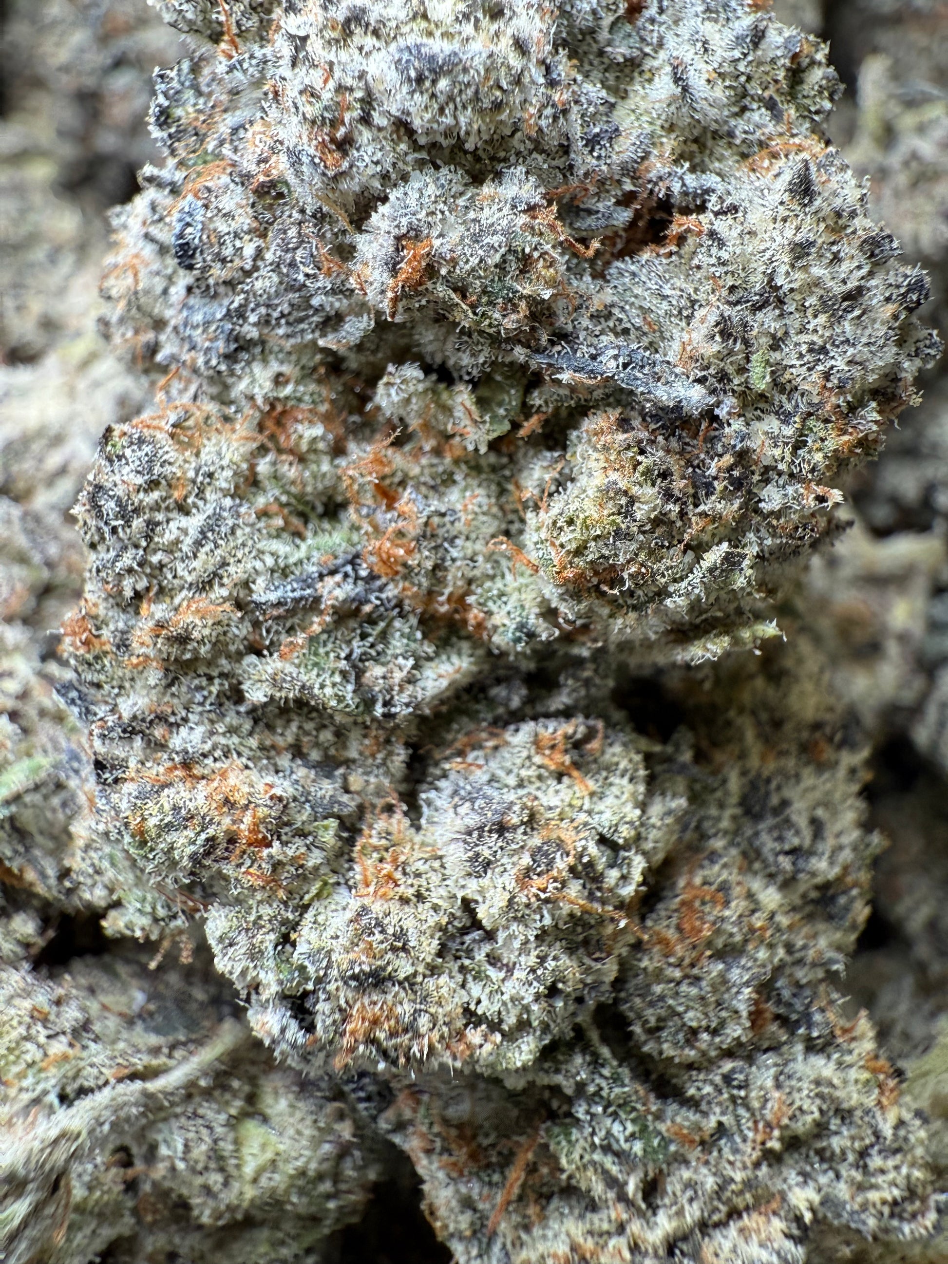 1 Pound AAAA - Lilac GMO THCA Strain Frisco Labs