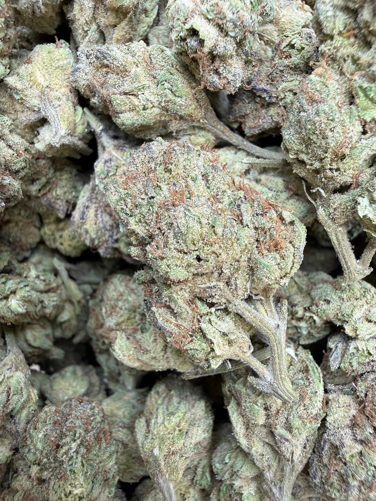 1 Pound - Abuela THCA Strain Frisco Labs