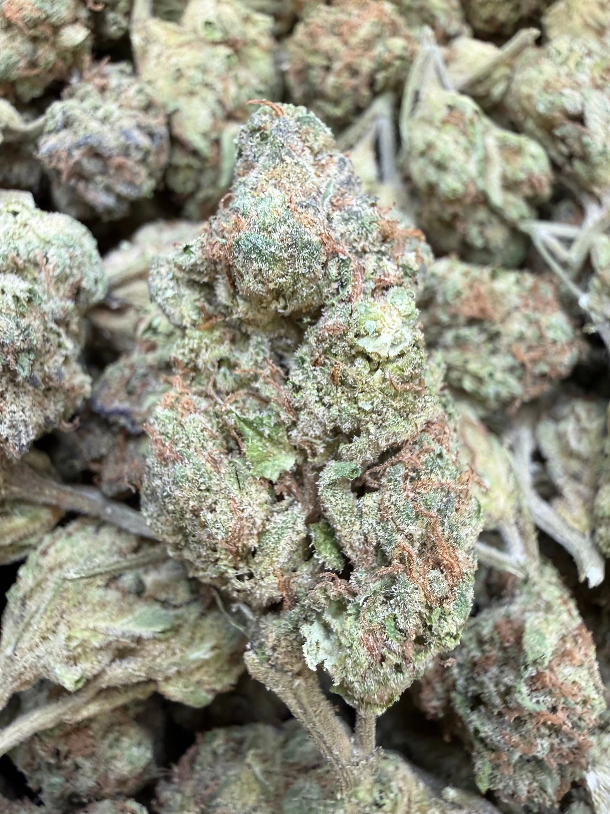 1 Pound - Abuela THCA Strain Frisco Labs