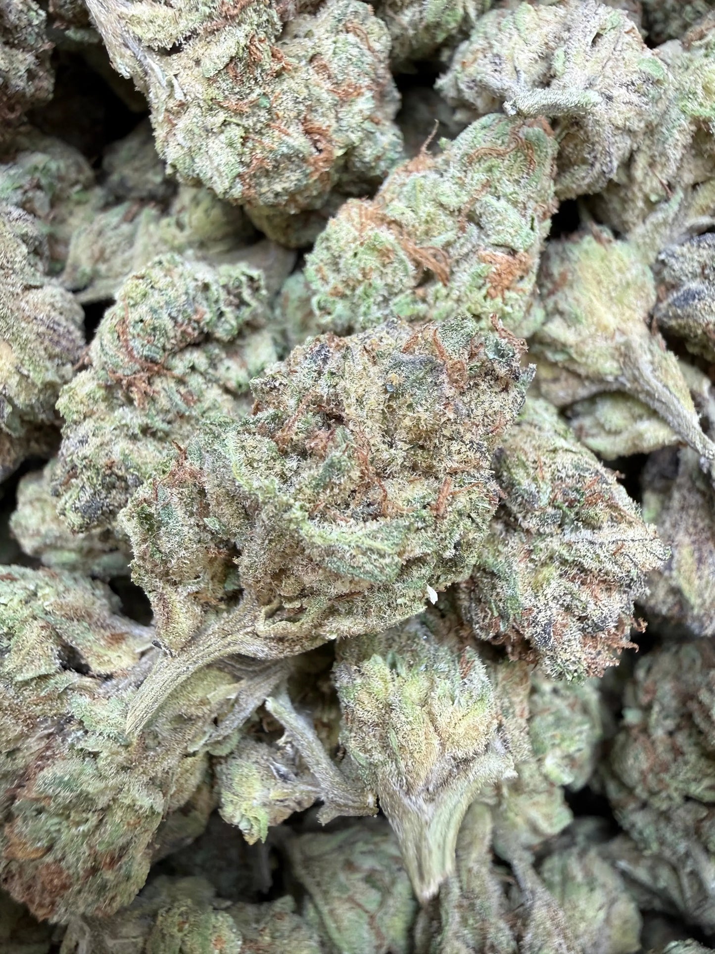 1 Pound - Abuela THCA Strain Frisco Labs