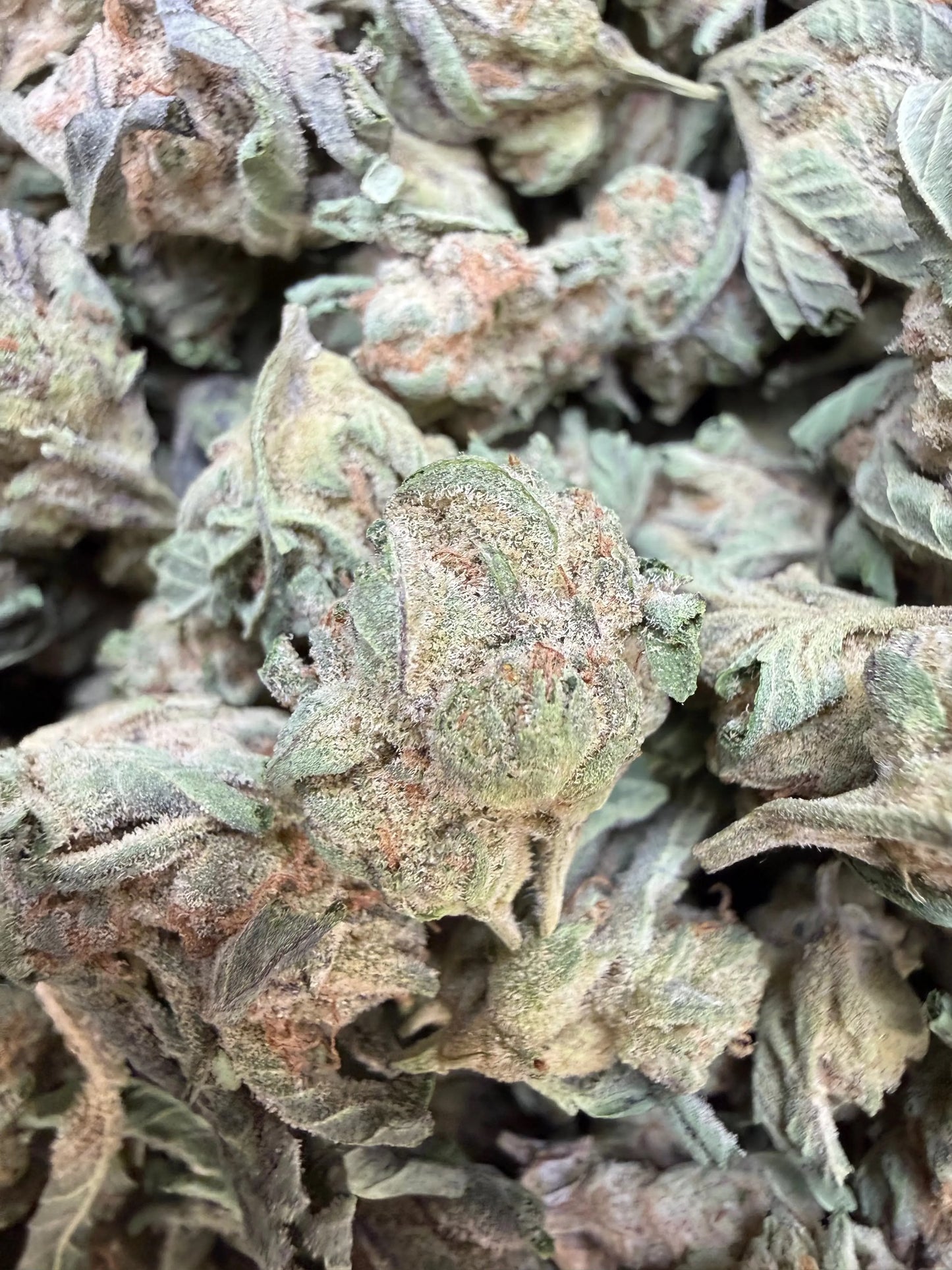 1 Pound - Abuela THCA Strain (Small) Frisco Labs