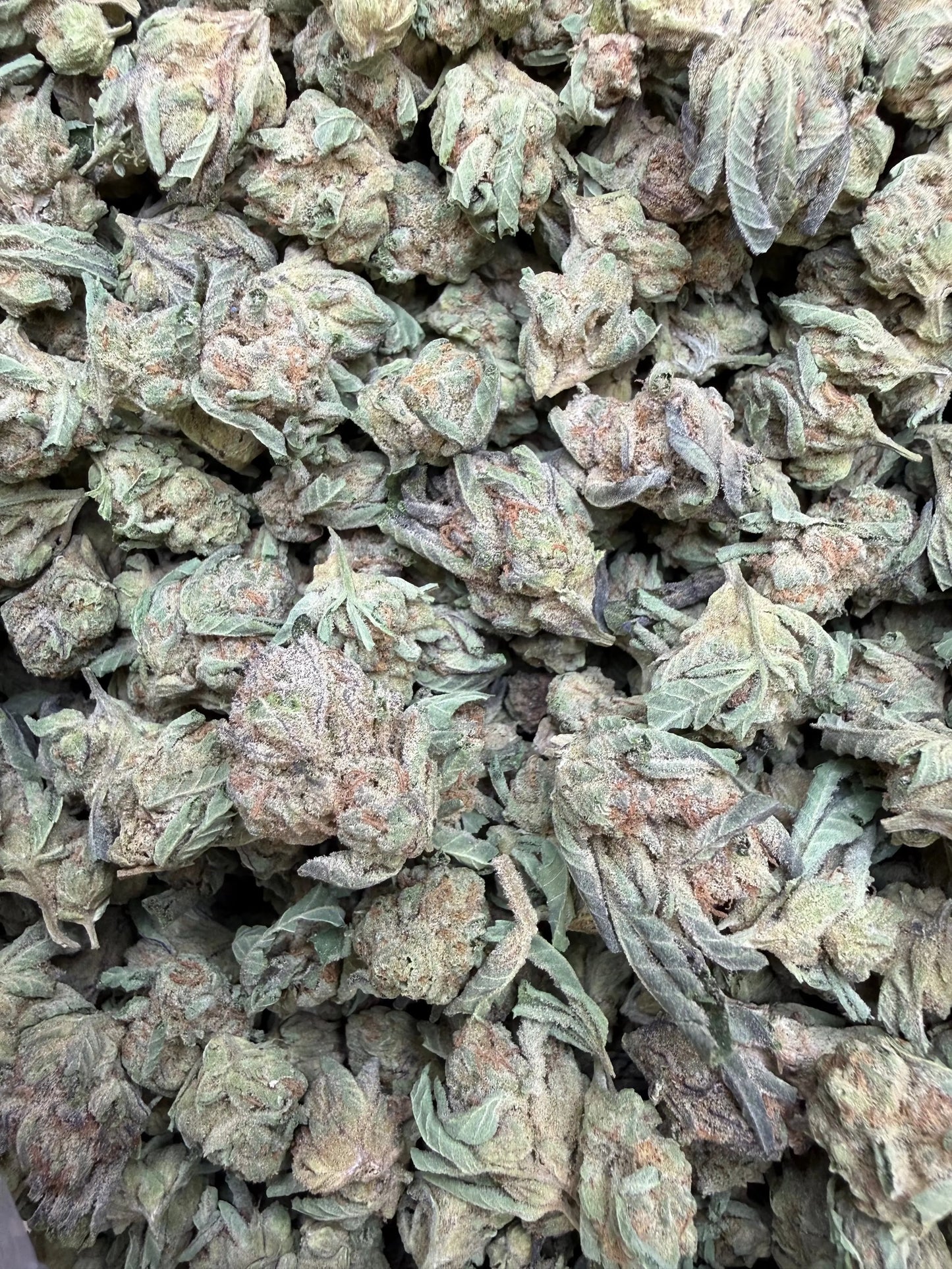 1 Pound - Abuela THCA Strain (Small) Frisco Labs