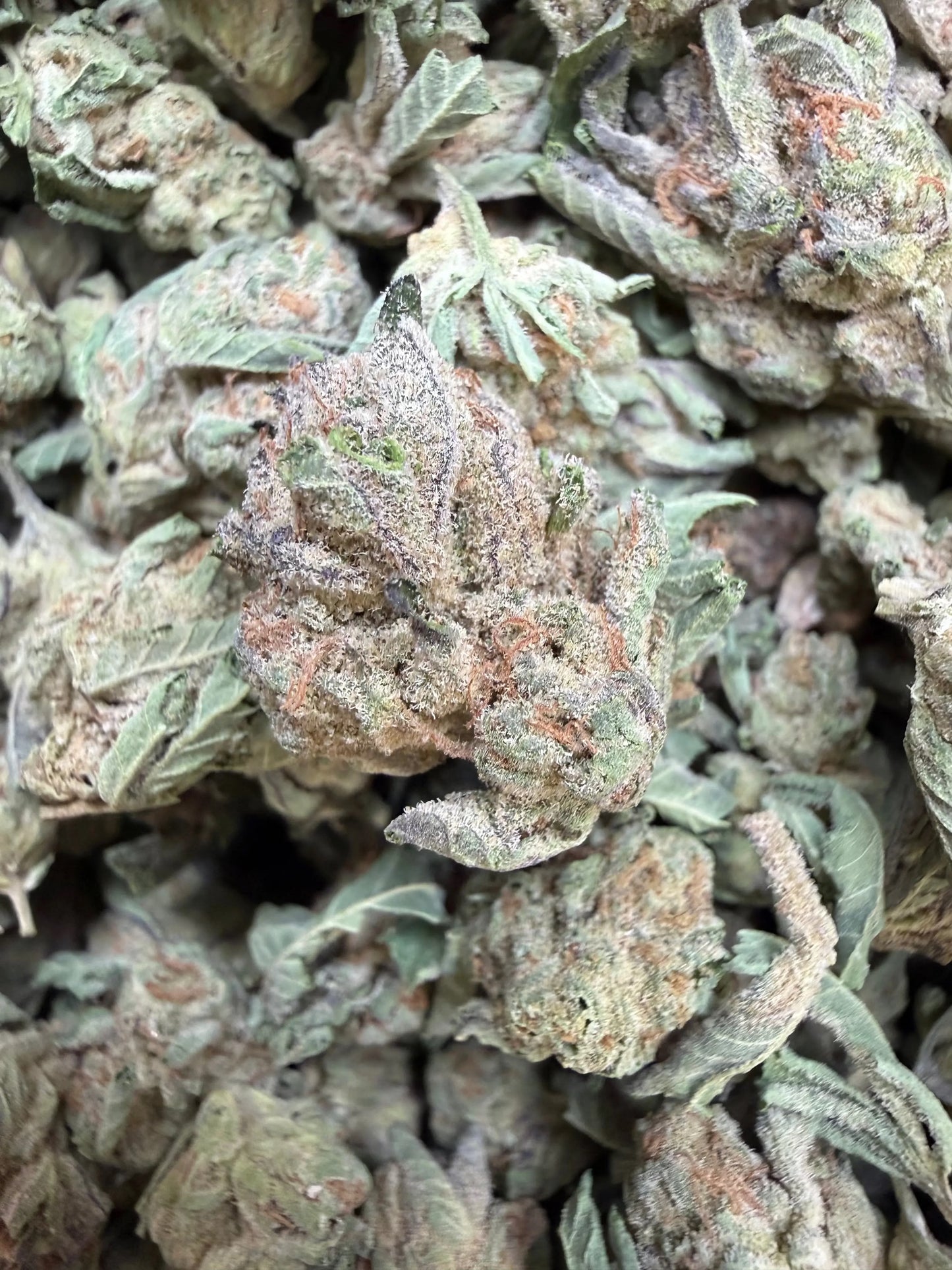 1 Pound - Abuela THCA Strain (Small) Frisco Labs