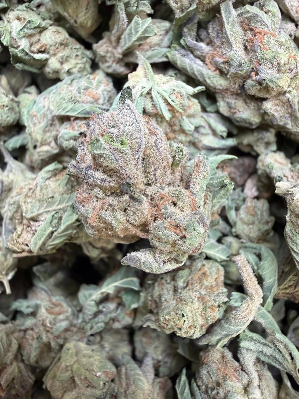 1 Pound - Abuela THCA Strain (Small)