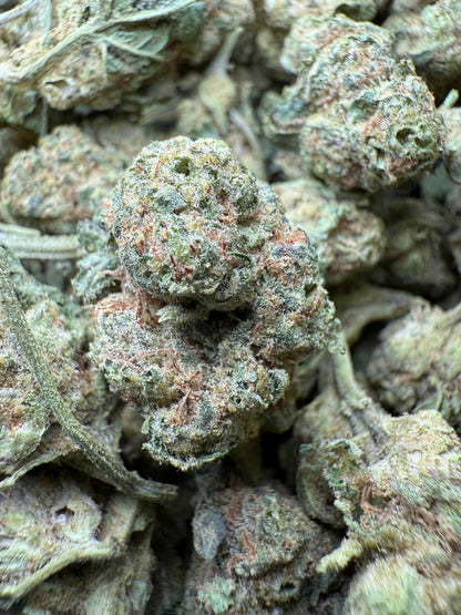 1 Pound - Apples and Bananas THCA Strain (Smalls) Frisco Labs