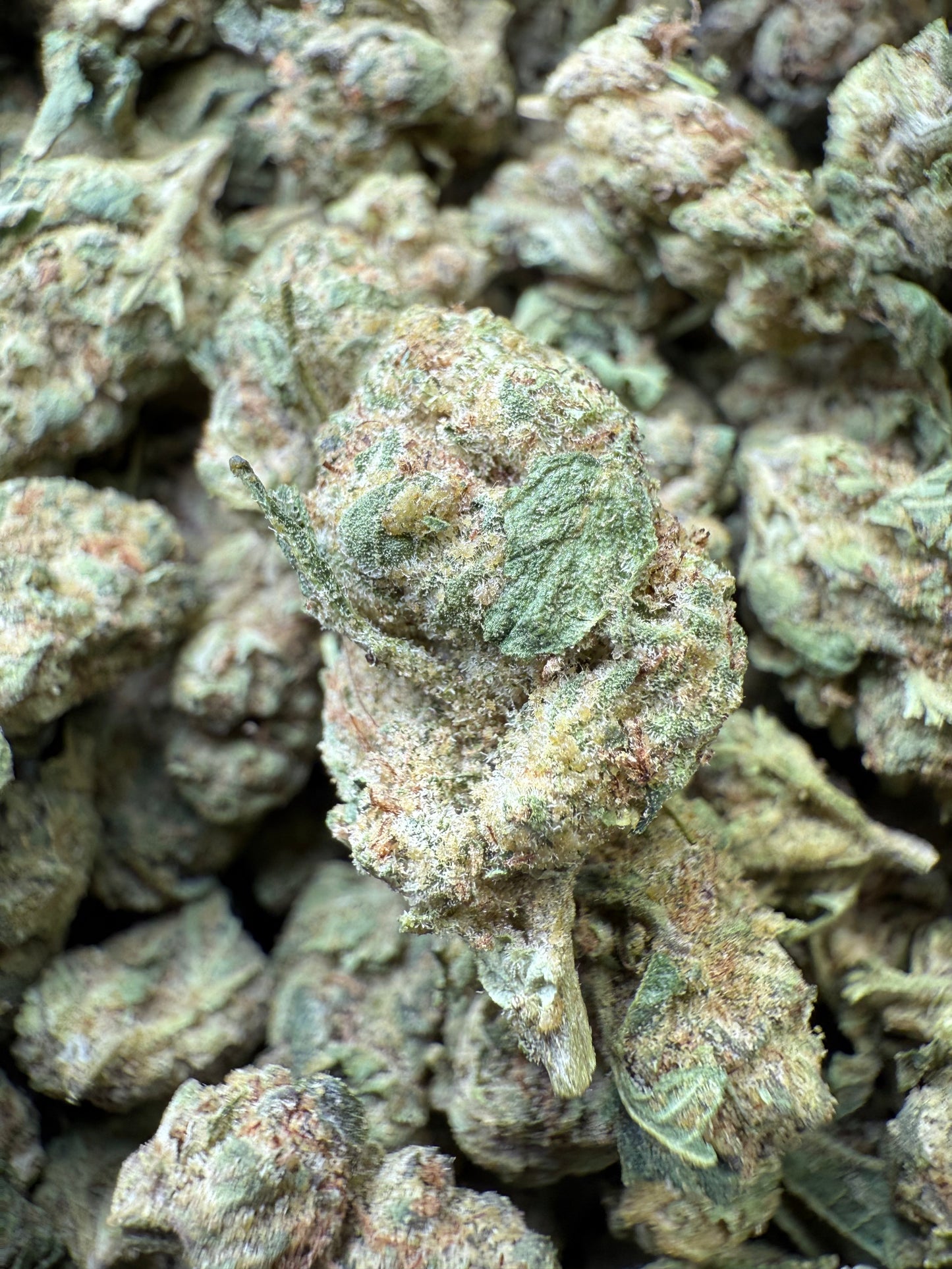 1 Pound - Apples and Bananas THCA Strain (Smalls) Frisco Labs