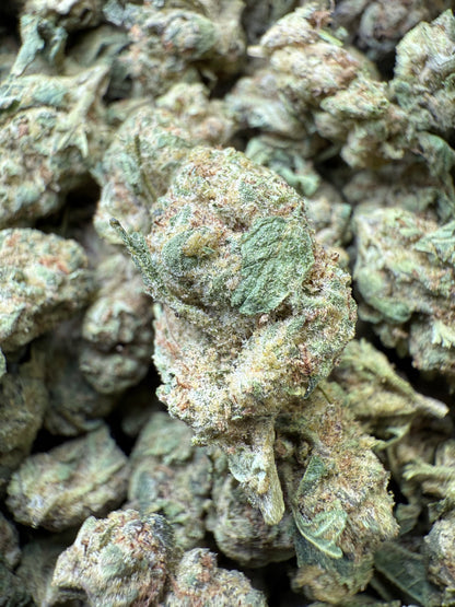 1 Pound - Apples and Bananas THCA Strain (Smalls) Frisco Labs