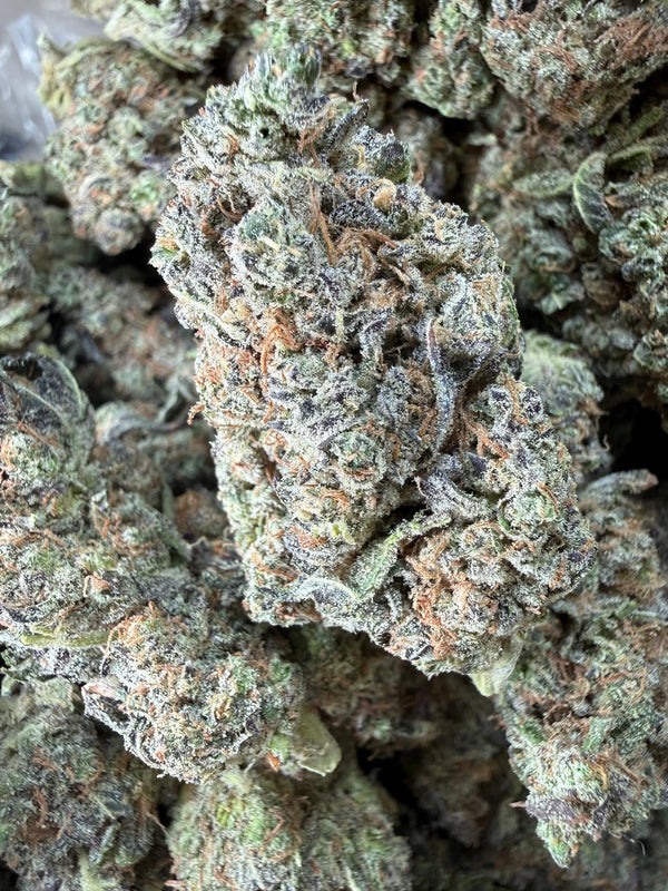 1 Pound -  Bahama Mama THCA Flower