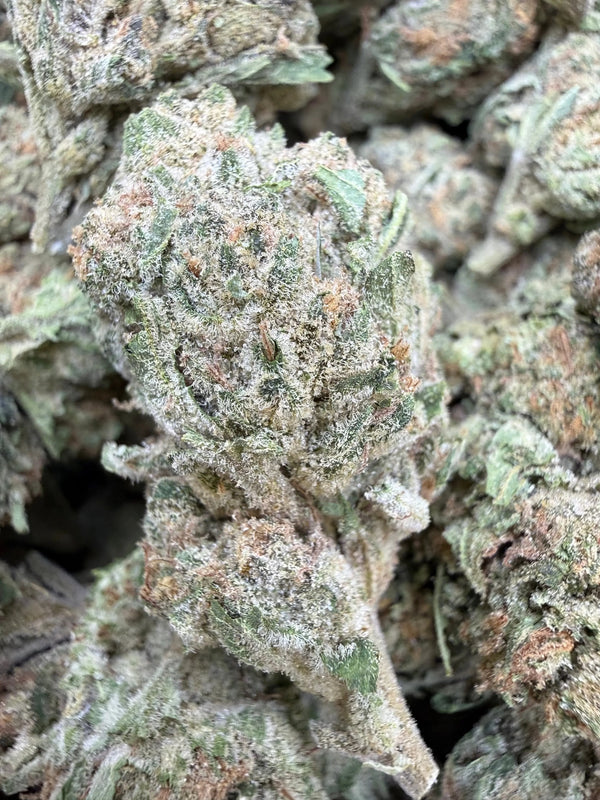 1 Pound - Banana Chocolope THCA Flower