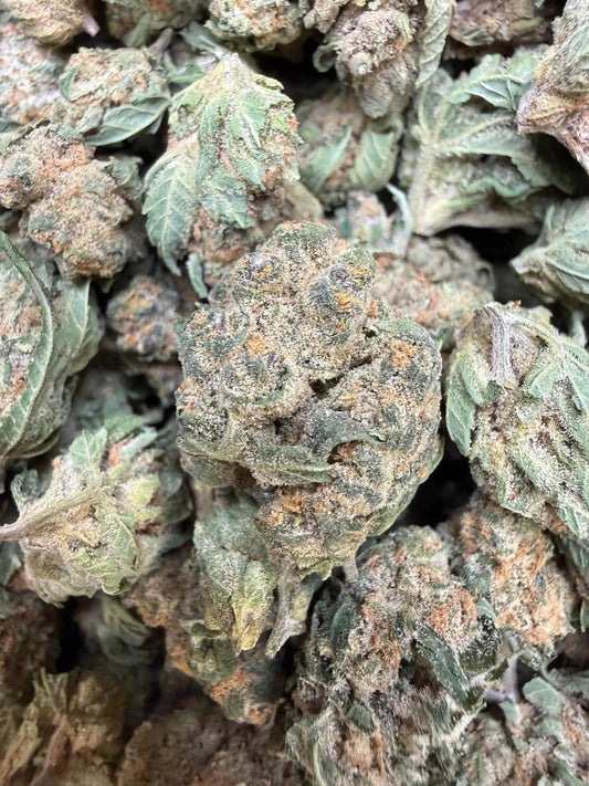 1 Pound - Banana Chocolope THCA Strain (Small) Frisco Labs