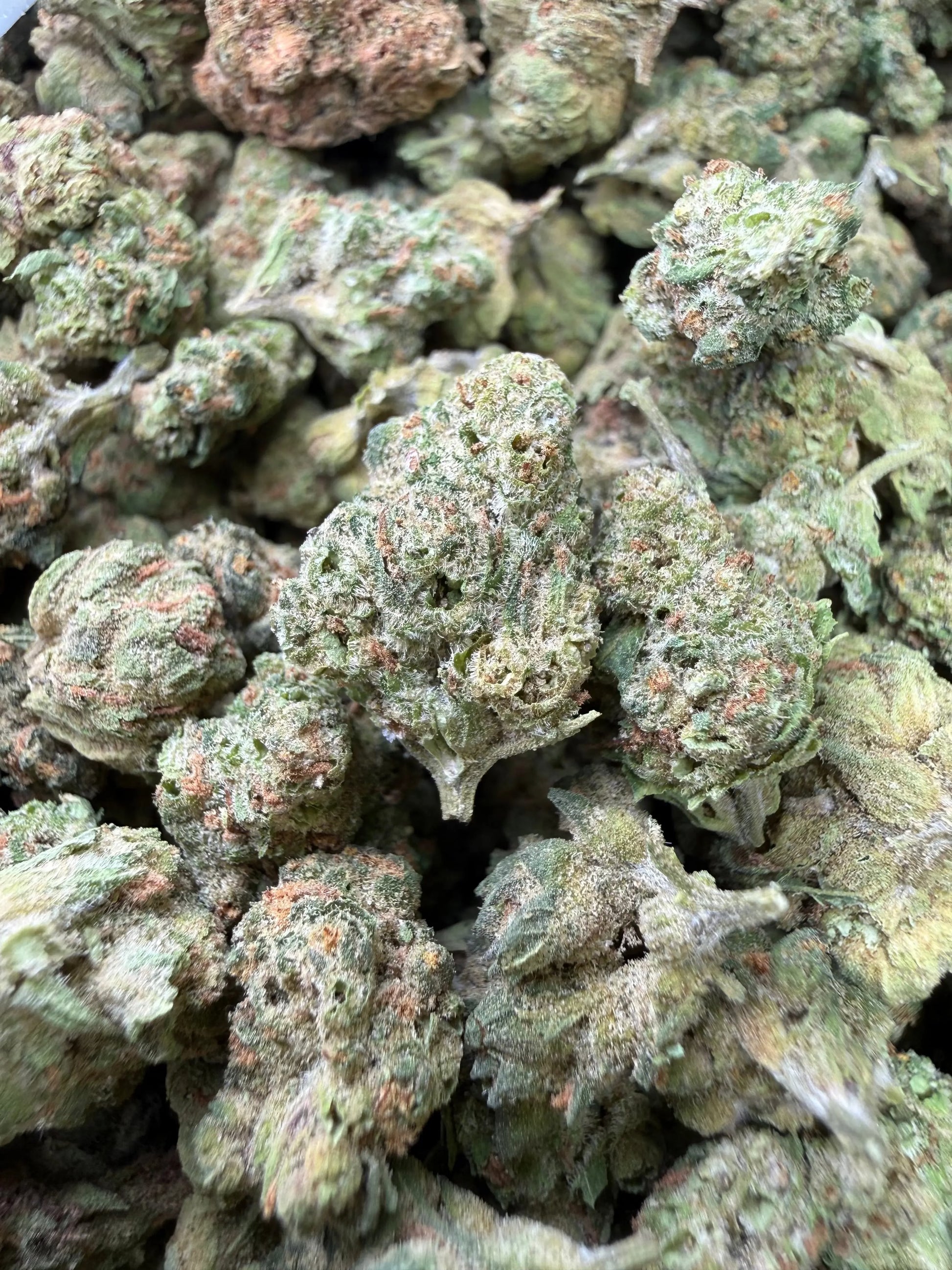 1 Pound - Banana Chocolope THCA Strain (Smalls) Frisco Labs