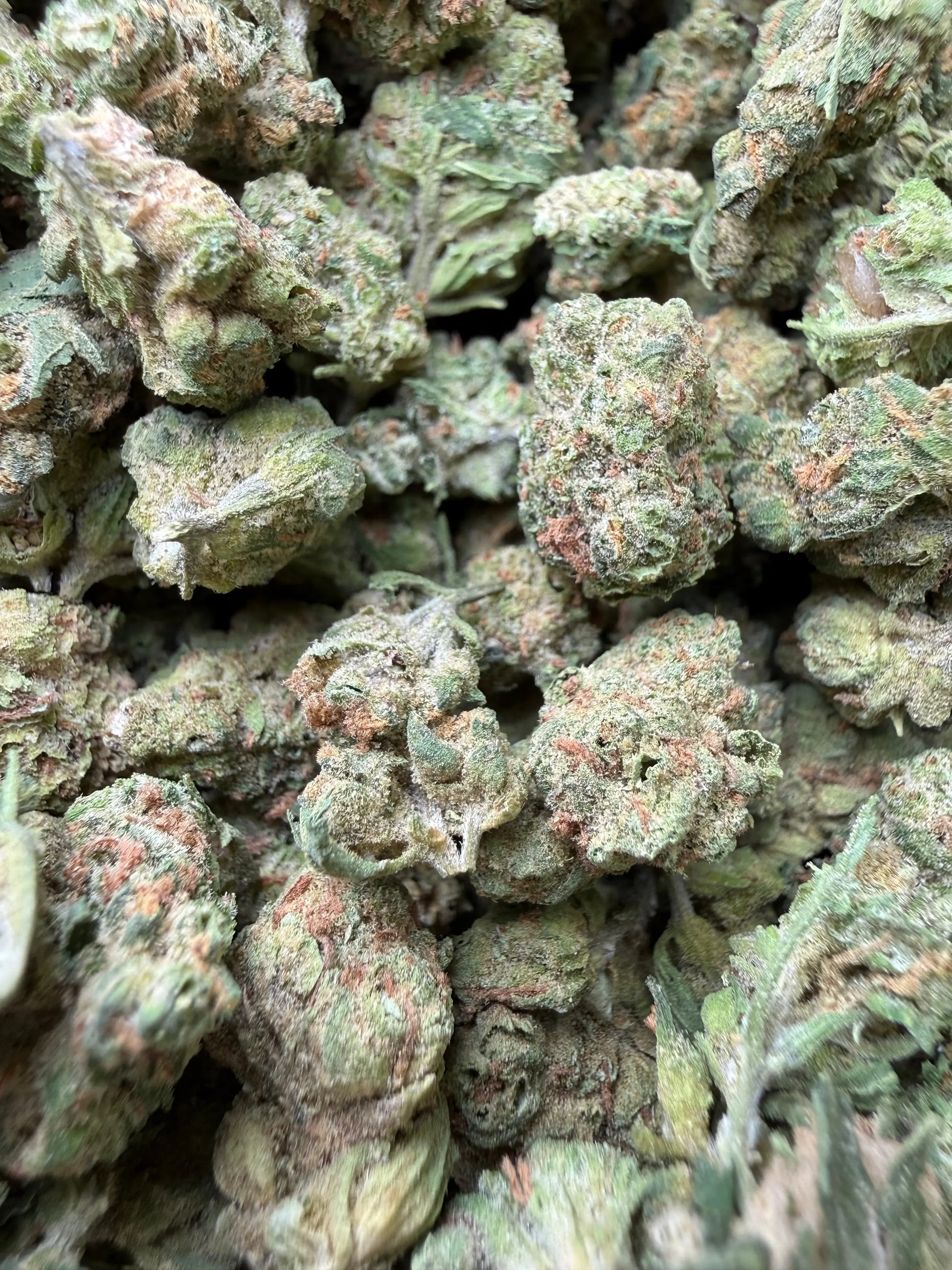 1 Pound - Banana Chocolope THCA Strain (Smalls) Frisco Labs