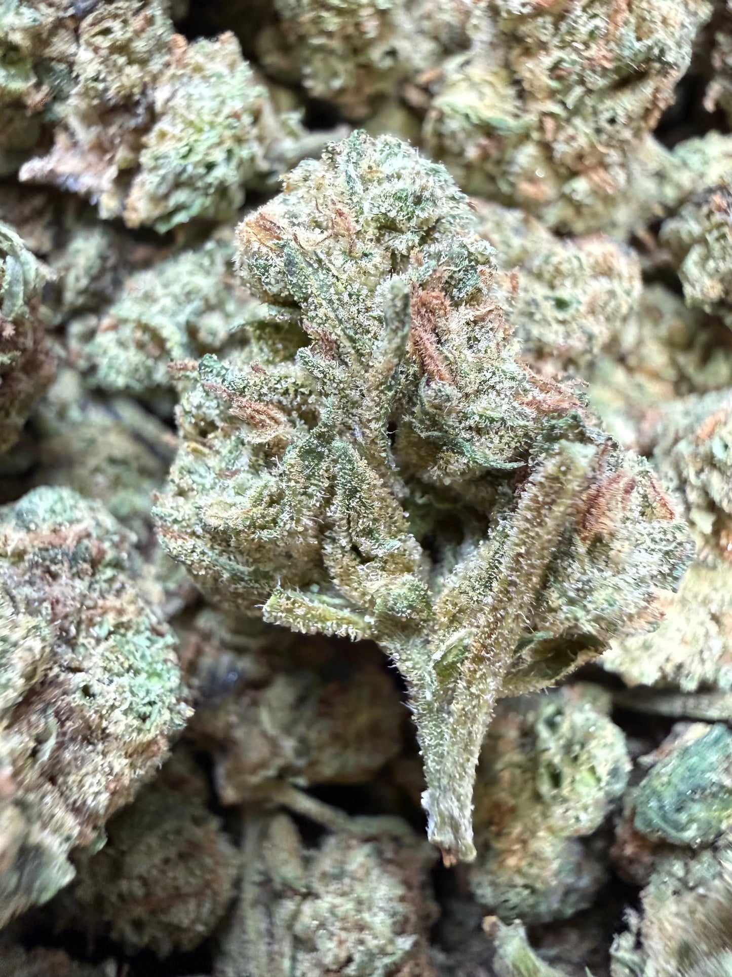 1 Pound - Black Bananas THCA Flower (Smalls)