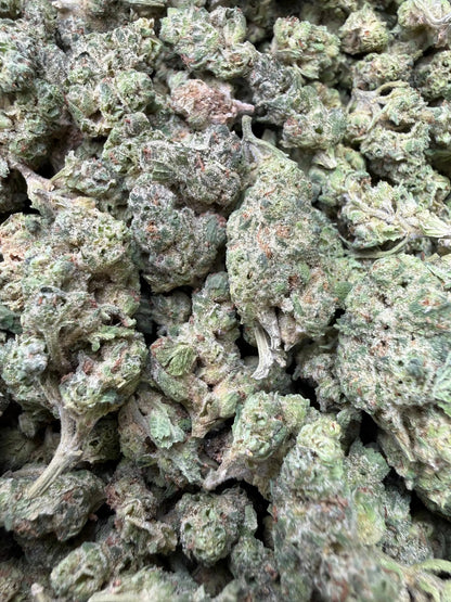 1 Pound - Black Lime Reserve THCA Strain (Smalls) Frisco Labs