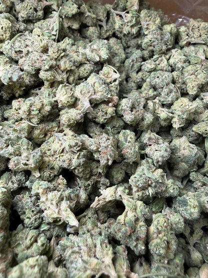 1 Pound - Black Lime Reserve THCA Strain (Smalls) Frisco Labs