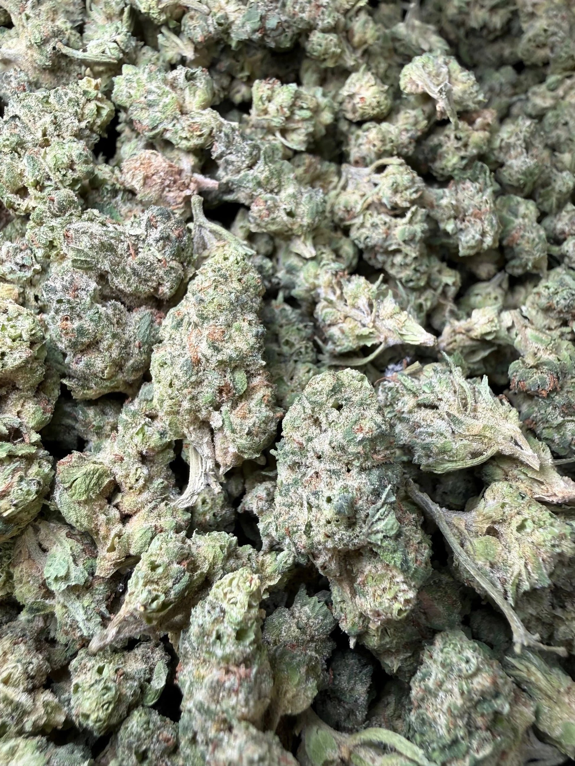 1 Pound - Black Lime Reserve THCA Strain (Smalls) Frisco Labs