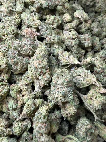 1 Pound - Black Lime Reserve THCA Strain (Smalls) Frisco Labs