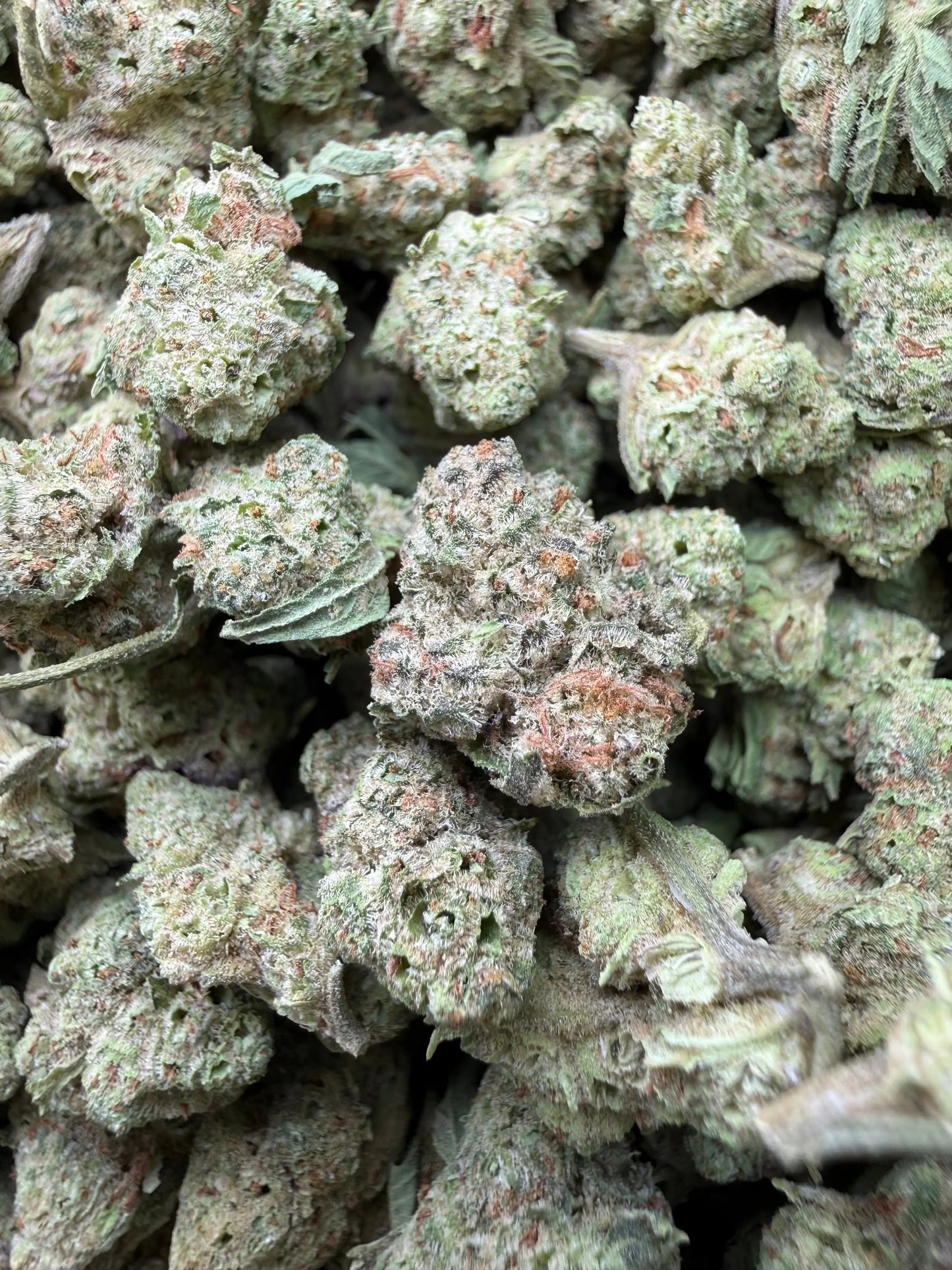 1 Pound - Blizzy THCA Strain (Smalls) Frisco Labs