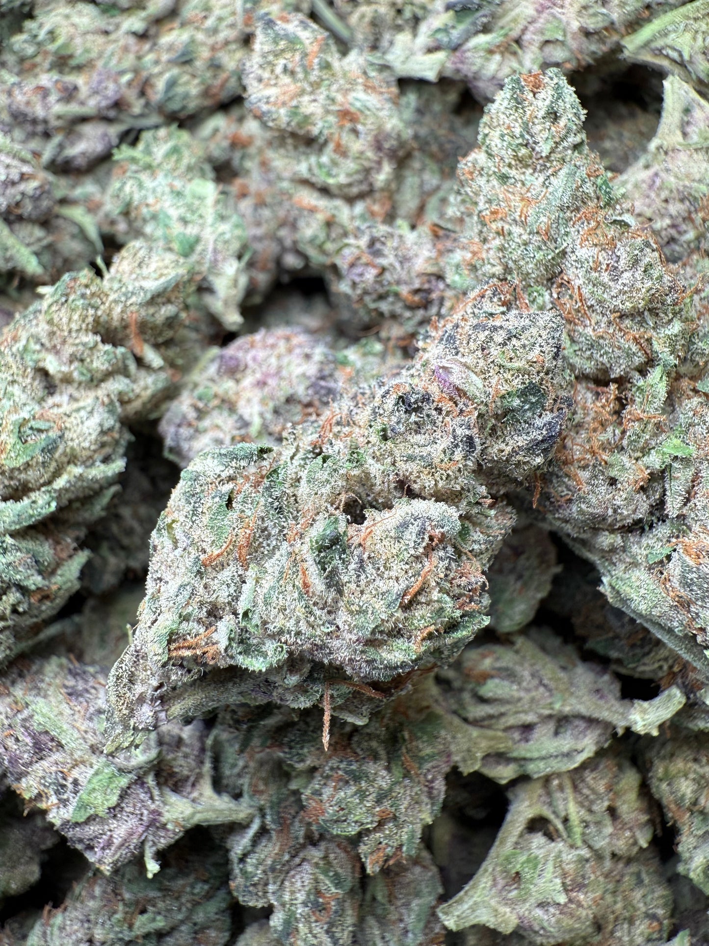 1 Pound - Blockberry THCA Strain Frisco Labs