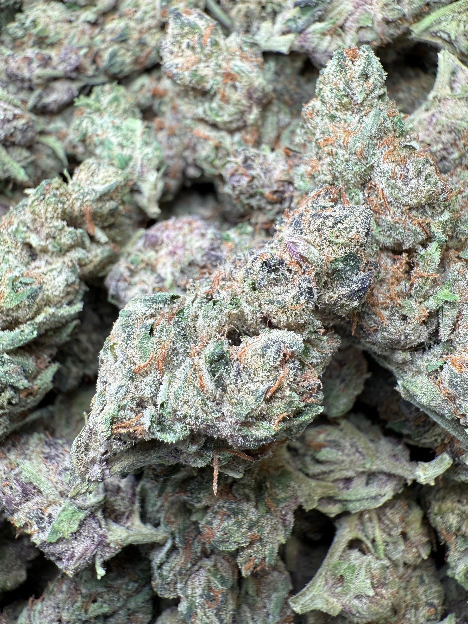 1 Pound - Blockberry THCA Strain Frisco Labs