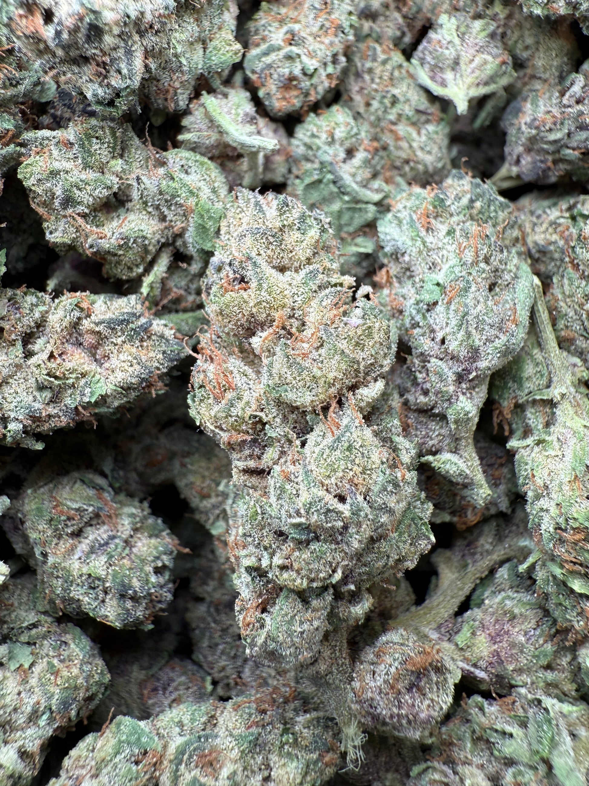 1 Pound - Blockberry THCA Strain Frisco Labs