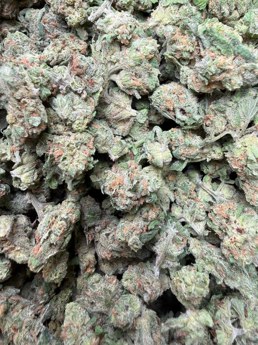 1 Pound -  Blue Dream THCA Strain Frisco Labs