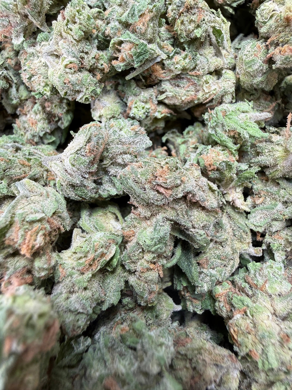 1 Pound Blue Dream THCA Smalls | Bulk THCA Flower | Frisco Labs ...