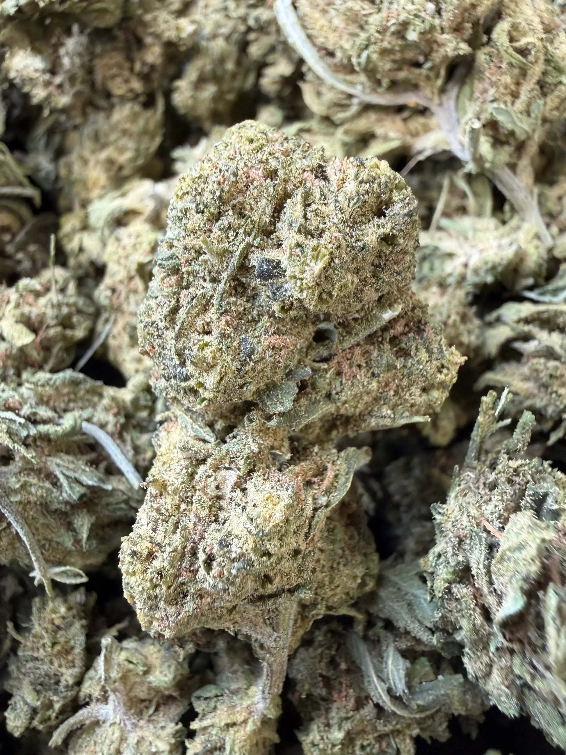 1 Pound - Blue Dream THCA Strain Frisco Labs