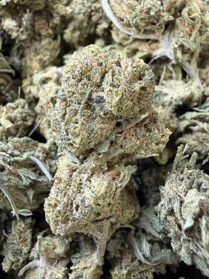 1 Pound - Blue Dream THCA Strain Frisco Labs