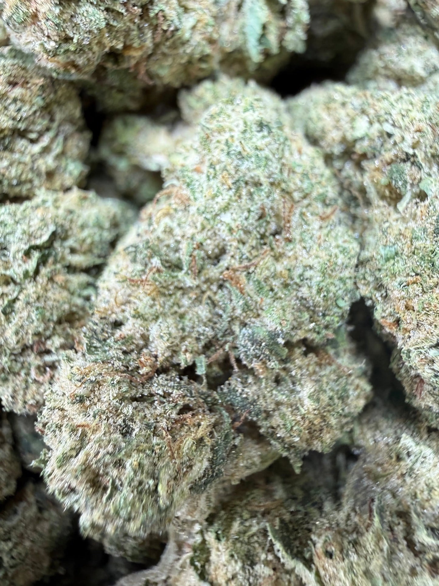1 Pound -  Blue Dream THCA Strain Frisco Labs
