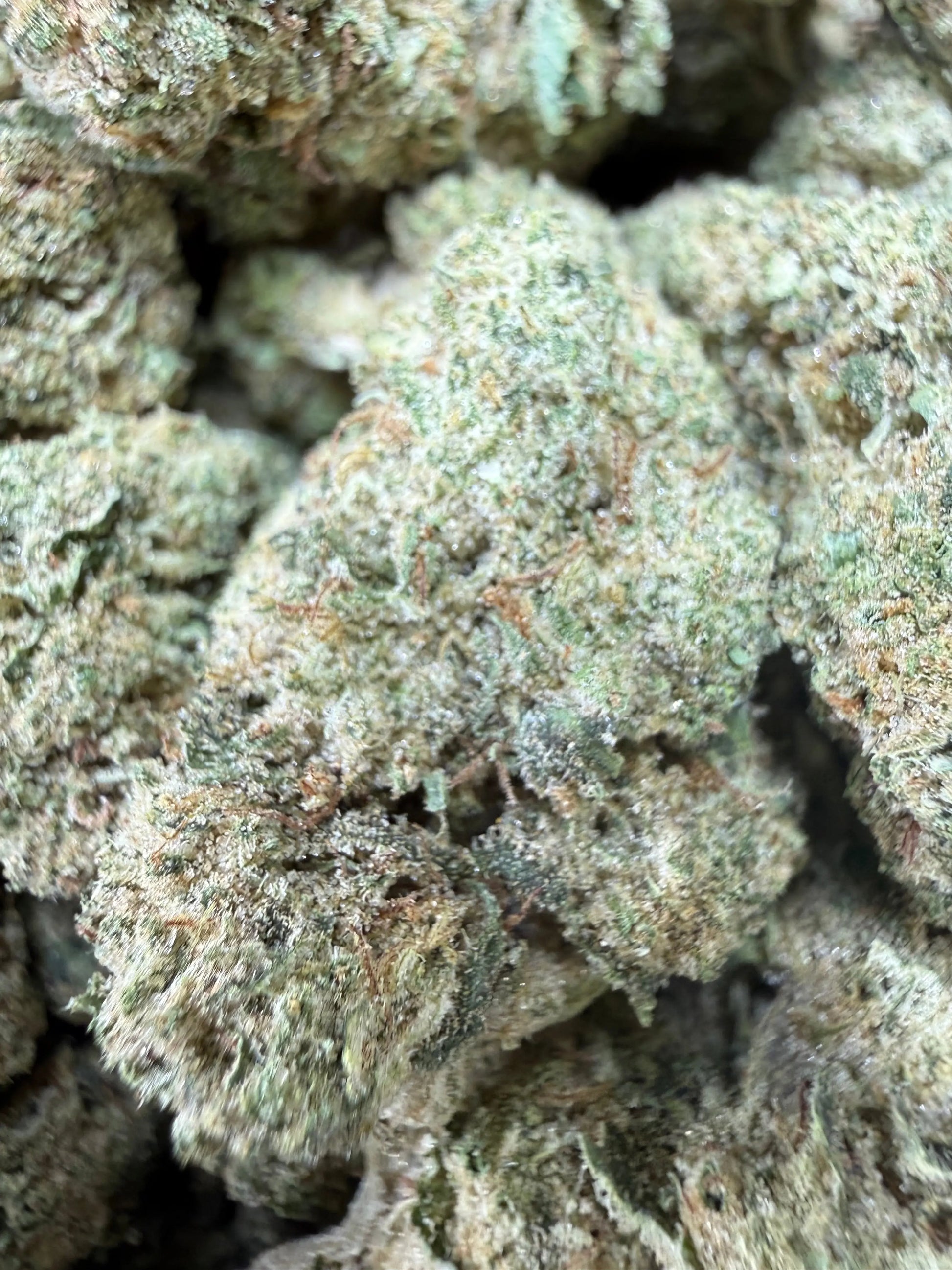 1 Pound -  Blue Dream THCA Strain Frisco Labs