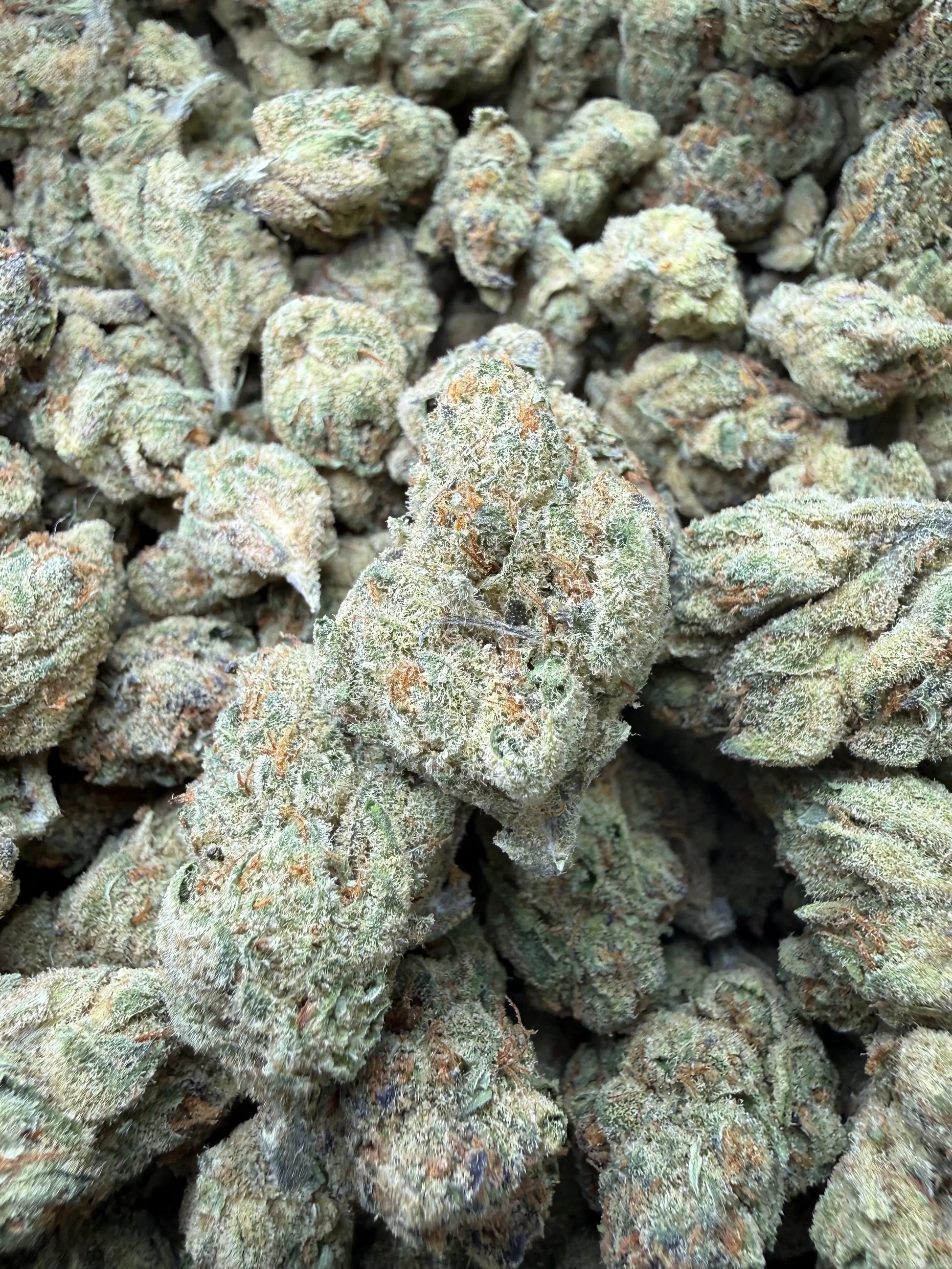 1 Pound -  Blue Dream THCA Strain Frisco Labs