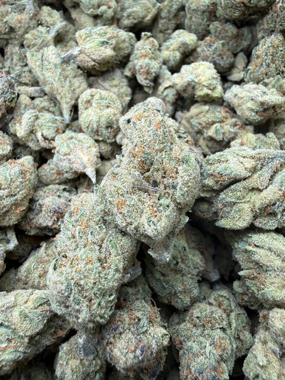 1 Pound -  Blue Dream THCA Strain Frisco Labs
